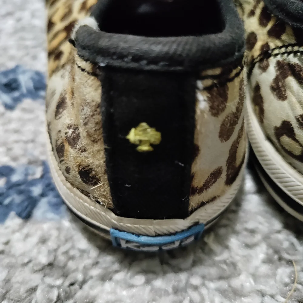 Keds for Kate Spade girl's leopard print sneakers size 13